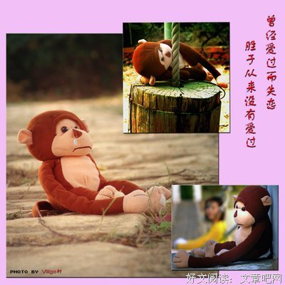 关于章北海的格言