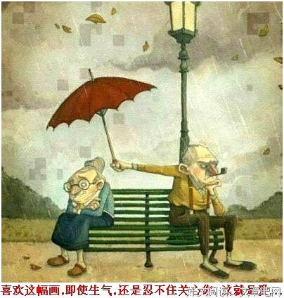 献给结过婚、离过婚、想离婚、没离婚、想结婚、没结婚的人……