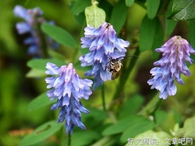 《我的精神家园》的读后感10篇