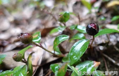 要经历什么，男人才会从青涩到成熟？