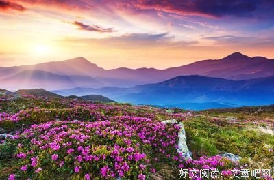 审美疲劳的时代，唯气韵让人心动