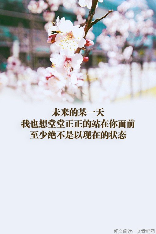 《第再带些……》的句子