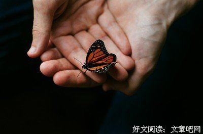 情圣大卫：女人让你魂不守舍的套路，你看得懂吗？