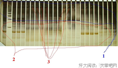 哲上样(ง •̀_•́)ง句子大全