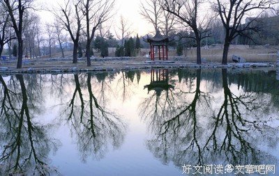 关于晨曦*尘息的句子