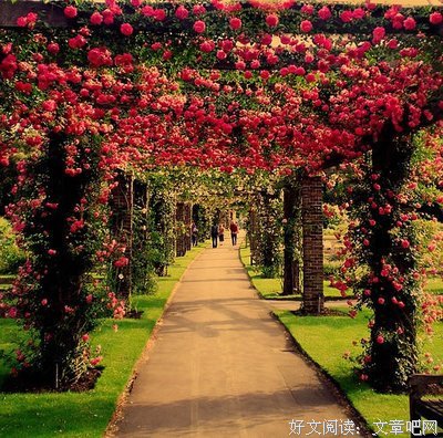 慢慢走，别错过路边的风景