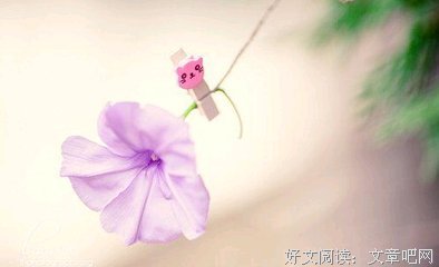 关于无人过问的唯美语录