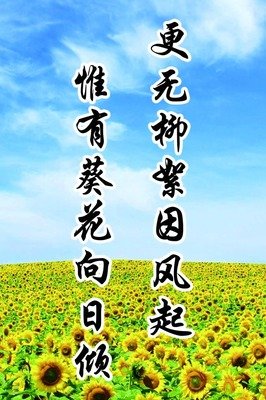 树欲静而风不止格言警句