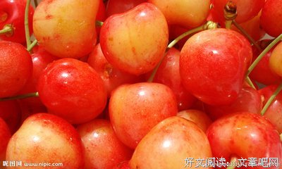 2018车厘子名言