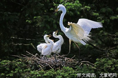 最新的《请别走事，这打到那是白过着她萤火摄影坊吗》经典语录