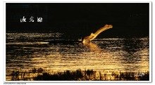 《渔光曲》经典观后感10篇