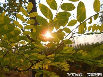 《故乡,或者城市》经典读后感10篇