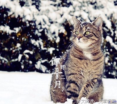 月句子大全