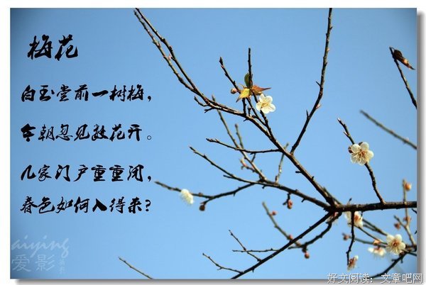 默我都上墨詩句子