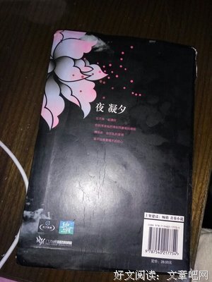夜凝夕优美的句子