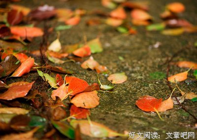 有关彼岸花开的句子