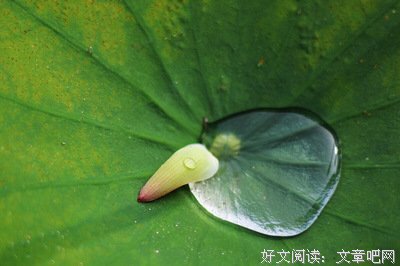 关于古德的格言