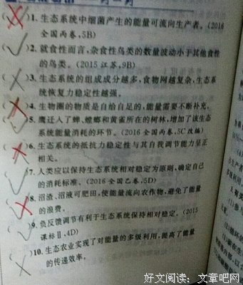 15条关于循环系统的经典语句