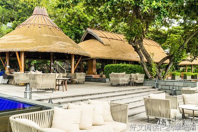《狗狗旅馆》经典观后感10篇