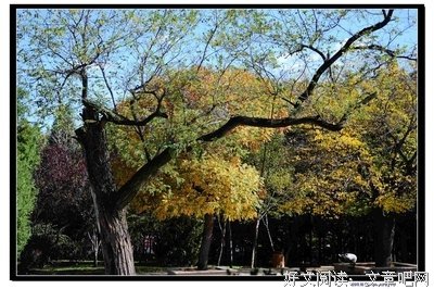 《美丽的星期天》经典观后感集