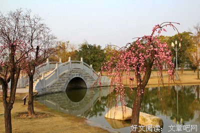 《春到南天》读后感精选10篇