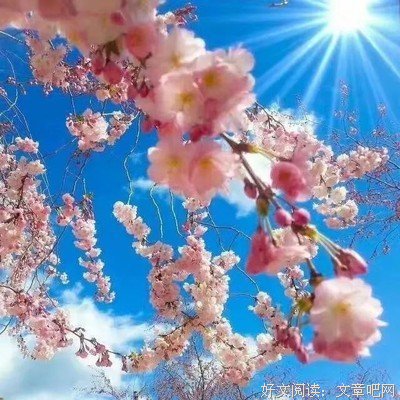 《女人明白要趁早》经典读后感10篇