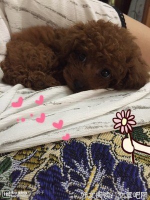 “我也喜欢你呀”