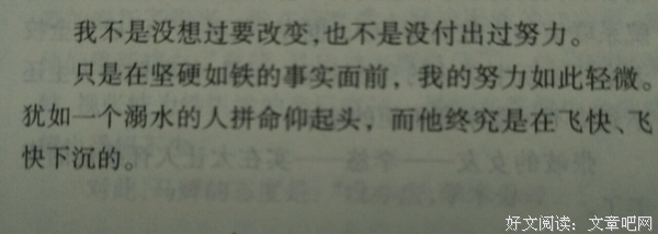 海上钢琴带们经典的句子