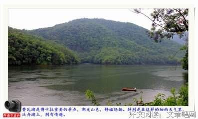 关于等风来 的优美句子