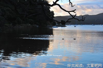 关于晚风的优美句子