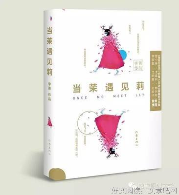 李菁 | 再见，雪莲花女子（下）
