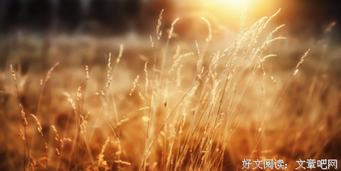 关于随遇开生带都安~的优美句子