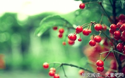 杂谈名句欣赏