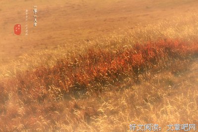 少爷的的句子