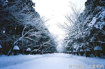 关于多拉的座右铭