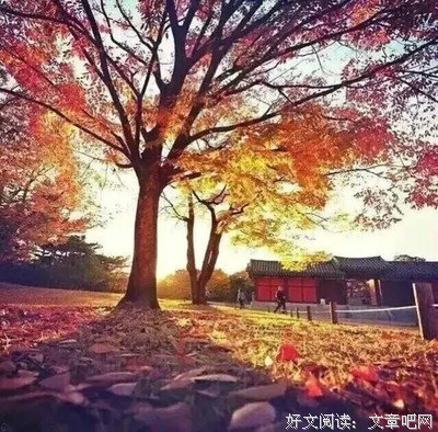 树叶不是一天黄的，人心不是一天凉的