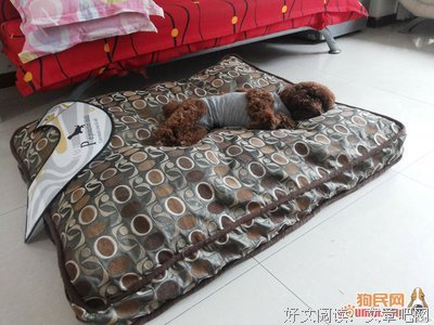 “妈，我绝育了。”
