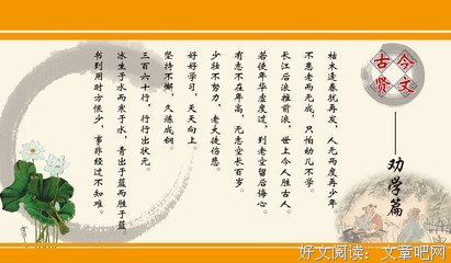 陆玖名言大全