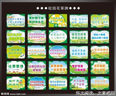 《绿区》的观后感10篇