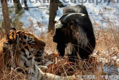 “全世界的情侣都分手也没有关系啊”