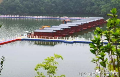 潘志远：关雎 鱼鹰 爱情鸟 | 就读这篇