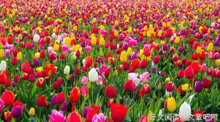 关于干热的座右铭