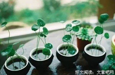 婆婆抱怨媳妇懒，儿媳妇只说了10句话，火爆朋友圈！