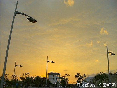 《女人帮》观后感精选10篇
