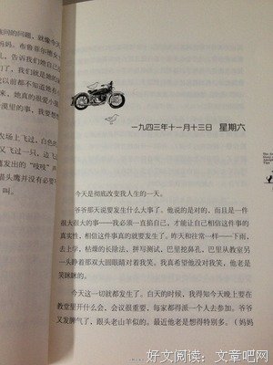 《寻猫奇遇记》经典读后感10篇