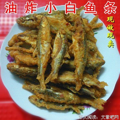 《白鱼解字》读后感精选10篇
