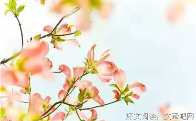 做人要有宽容之心