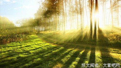 盛夏花开句子大全