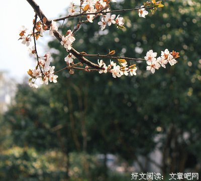 经年经典的句子