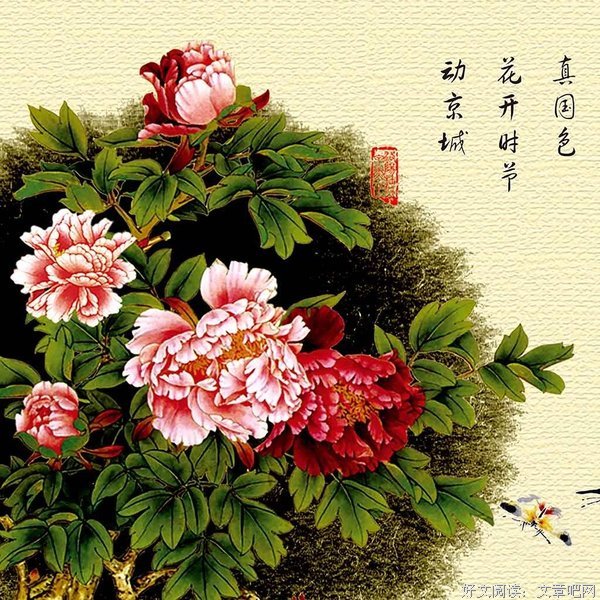 关于花开，谁赏？的句子